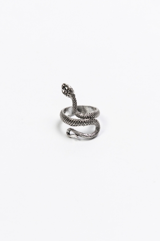 Кольцо Змея (серебристая)